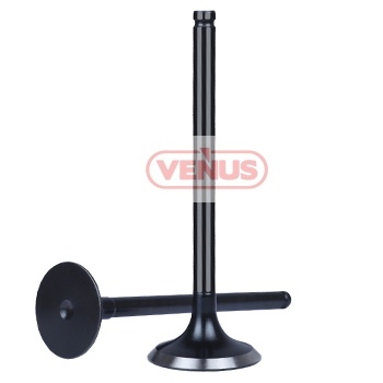 Engine_valve